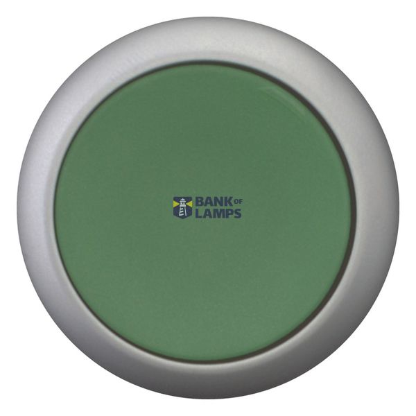 Pushbutton, flat, momentary, 1 N/O, green, Screw connection, Bezel: ti image 6