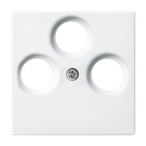 Central plate with support ring Busch-balance® SI image 4