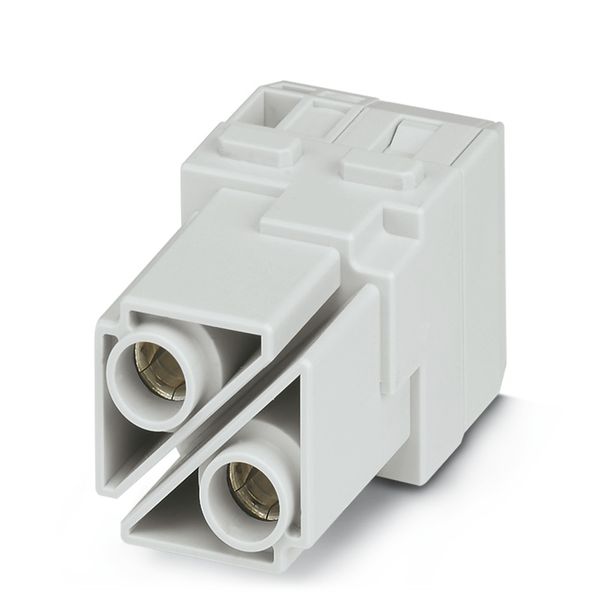 Power module, 1000 V, 100 A, Number of poles: 2, Axial screw connection, Female, Required plug-in slots: 2 image 1