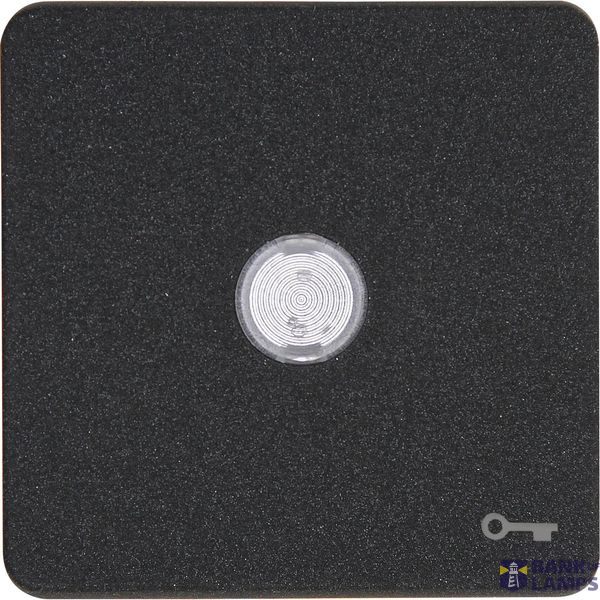 HK02 - Surface rocker with lens and "key" symbol, color: anthracite image 1