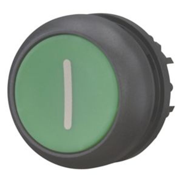 M22S-DR-G-X1 Pushbutton, RMQ-Titan, Flat, maintained, green, inscribed, Bezel: black image 8