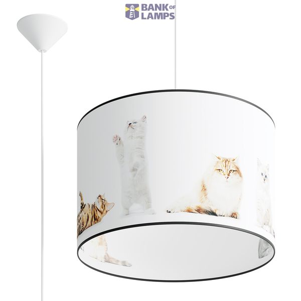 Pendant lamp KITTY 40 image 2