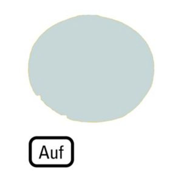 M22-XDL-W-D3 Button lens, flat white, AUF image 4