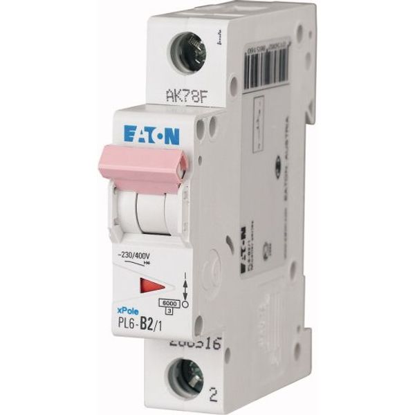PL6-C4/1 Miniature circuit breaker (MCB), 4 A, 1p, characteristic: C image 1