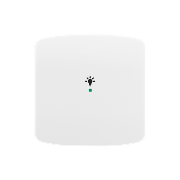 Rocker, 1gang, with “Light” icon image 1