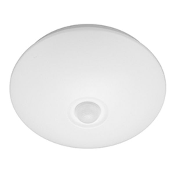 Fichero: KLD1-PLUS-250.jpg image 1