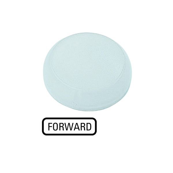 M22-XL-W-GB15 Lens, indicator light white, flush, FORWARD image 4