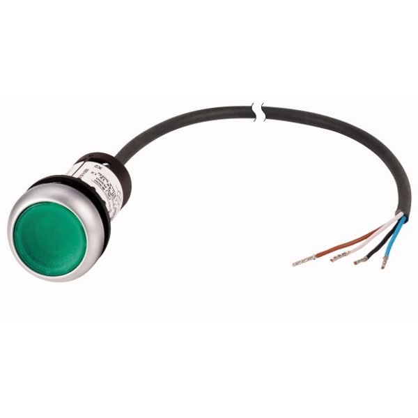 C22-DL-G-K10-24-P65 Illuminated pushbutton actuator, Flat, momentary, 1 N/O, Cable (black) with non-terminated end, 4 pole, 3.5 m, LED green, green, Blank, 24 V AC/DC, Be image 1
