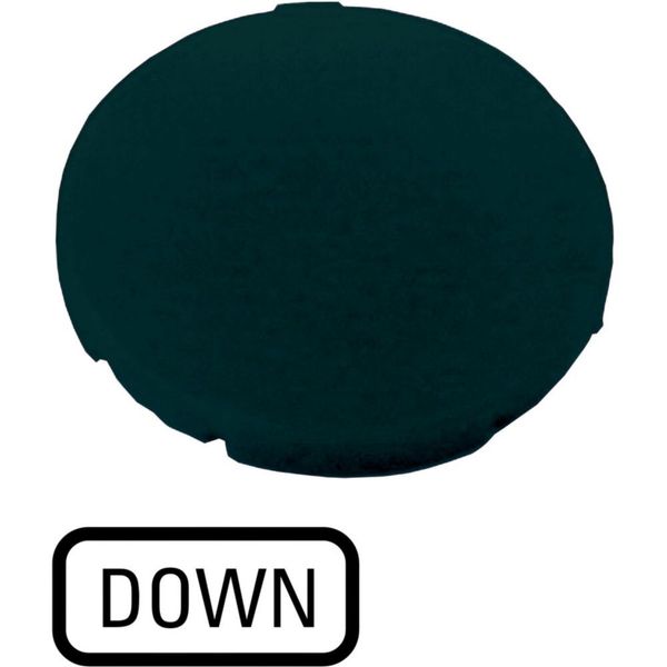 M22-XD-S-GB4 Button plate, flat black, DOWN image 6
