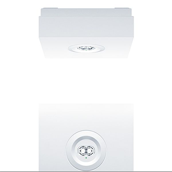 RESCLITE PRO MSC ANT E8D WH - Safety luminaire image 1