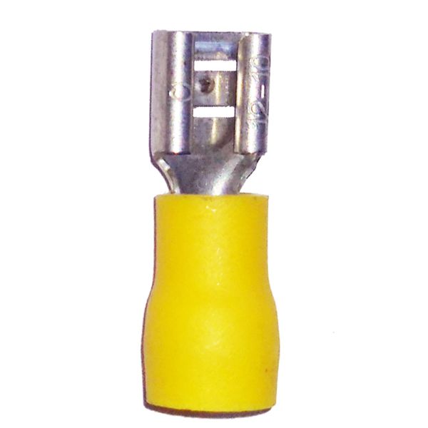 Fichero: Ter pre ench plan amarillo.jpg image 1