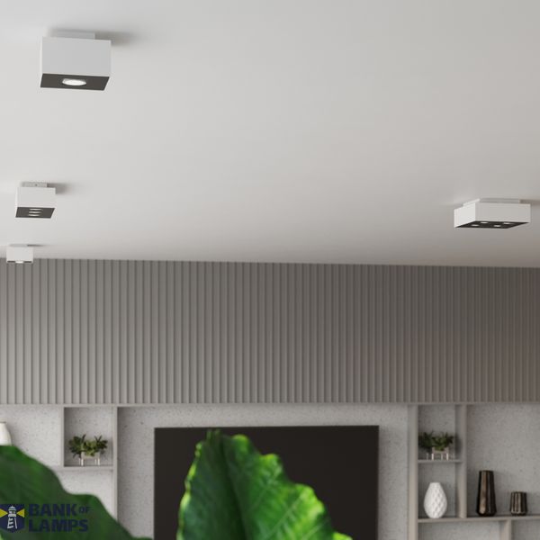 SPOT MONO 3 WHITE GU10 3X40W IP20 image 10