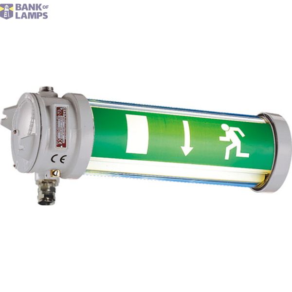 EMERGENCY LUM.ExdIIC 11W 127V EE11PL image 3