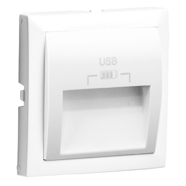 C PLATE DOUB USB CHARG TYPE A 20° OUTPUT WH image 2