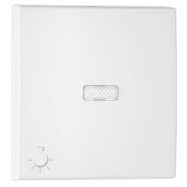 ROCK F/LIGHT SWITCH/PUSH-BUT W/LAMP SYMB WHIT image 2