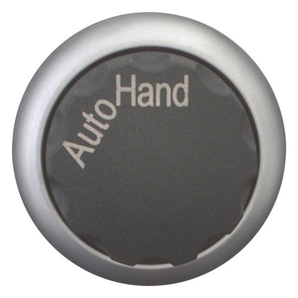 M22-WR-X91 Changeover switch, RMQ-Titan, With rotary head, maintained, 2 positions, inscribed, Bezel: titanium, AUTO HAND image 3
