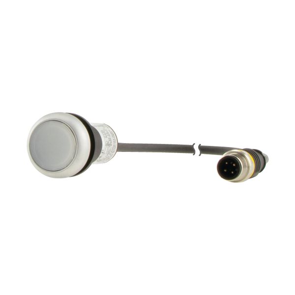 C22-DL-W-K10-24-P1 Illuminated pushbutton actuator, Flat, momentary, 1 N/O, Cable (black) with M12A plug, 4 pole, 0.2 m, LED white, White, Blank, 24 V AC/DC, Bezel: tita image 6