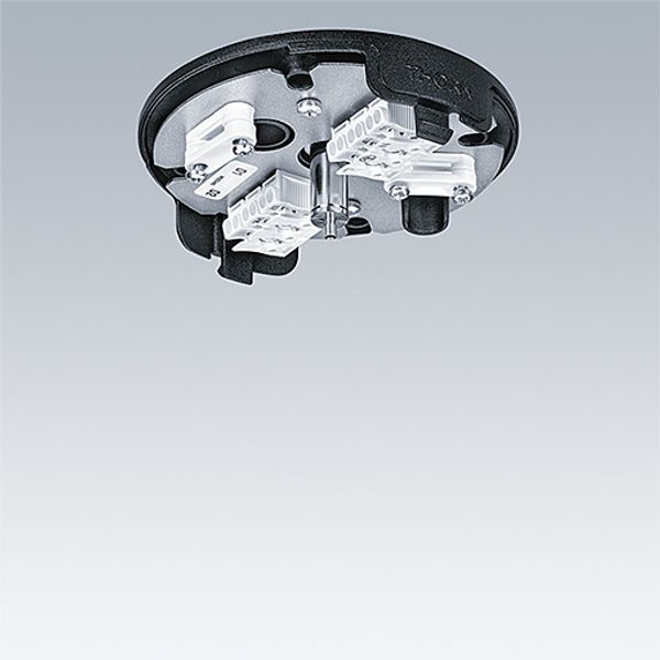 THORN CEILING ROSE BK WH - Installation accessory image 1