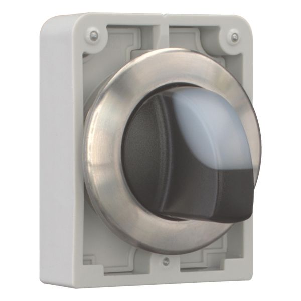 M30I-FWLK3-W Illuminated selector switch actuator, RMQ-Titan, with thumb-grip, momentary, 3 positions, White, Front ring stainless steel image 14