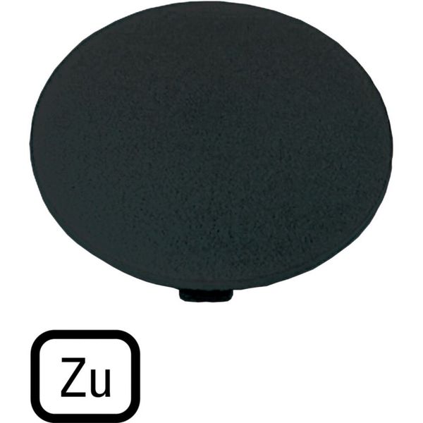 M22-XDP-S-D2 Button plate, mushroom black, TO image 5