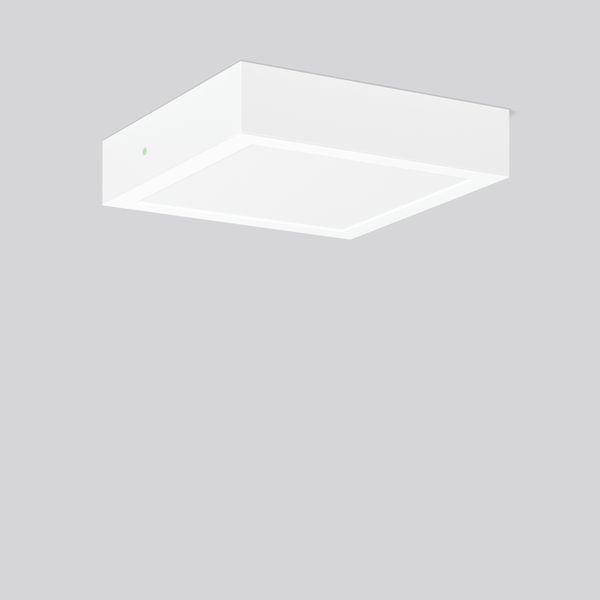 TOLEDO FLAT+ square, 17 W, 2150 lm, 830, 840, white, on/off Surface mo image 1