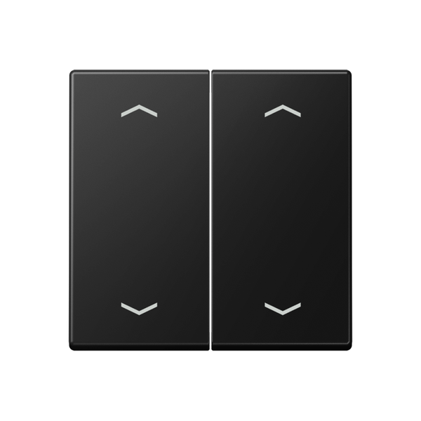 Rocker for push-button 2-gang, arrows A102PBFSWM image 1