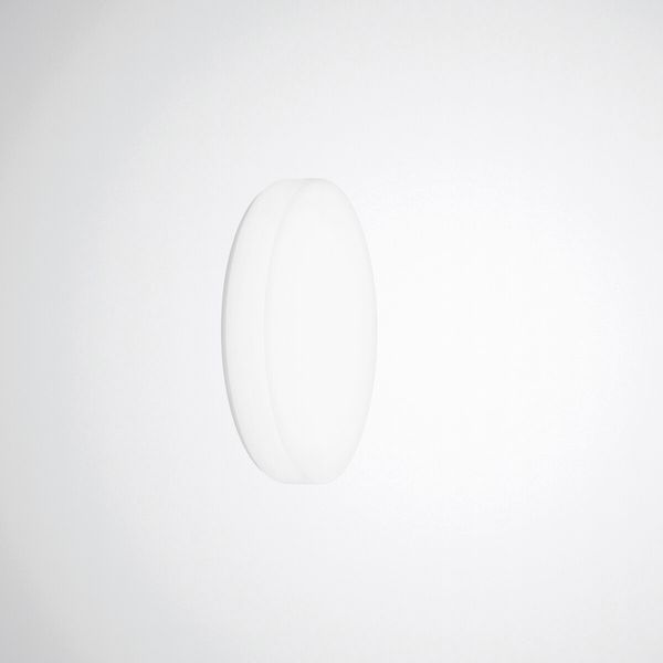 Wall and ceiling luminaire Olisq R Diffuser White around ETBLE 15W 1900lm Lambertian (L) IP40 IK03 3 SDCM 8403563 image 1
