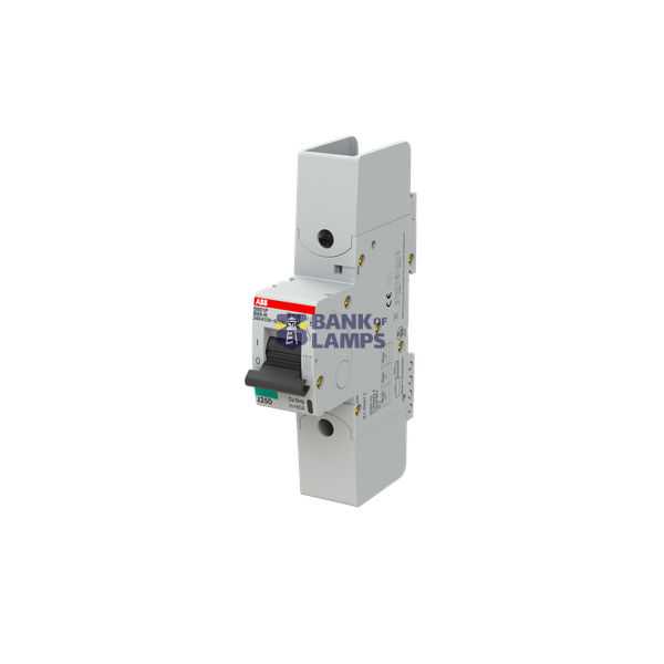 S801P-B80-R circuit breaker image 3