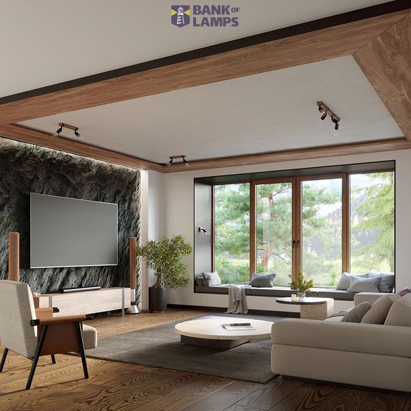 CEILING LAMP ZUCA 3 BLACK E27 3X15W IP20 image 5