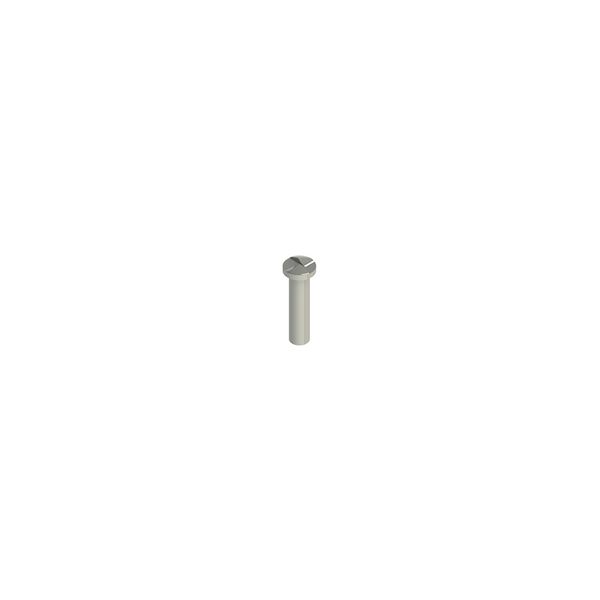 Stainless steel security screws image 1
