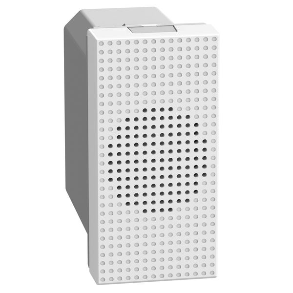 Light Now - bell 12V white image 1