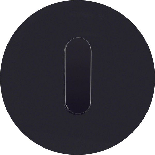 Cover plate toggle rotary switch/spring-return p-b, R.classic, glass b image 1