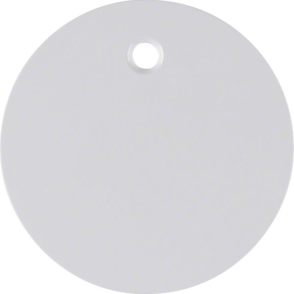 Centre plate for pullcord switch/pullcord push-button, R.1/R.3, p. whi image 3