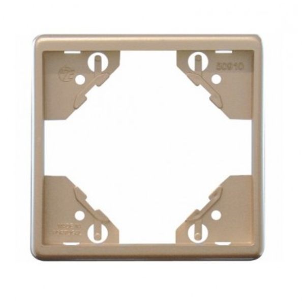 SINGLE FRAME PLATINUM image 1