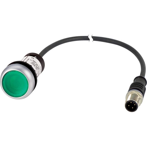 C22-DL-G-K10-24-P3 Illuminated pushbutton actuator, Flat, momentary, 1 N/O, Cable (black) with M12A plug, 4 pole, 0.5 m, LED green, green, Blank, 24 V AC/DC, Bezel: tita image 3