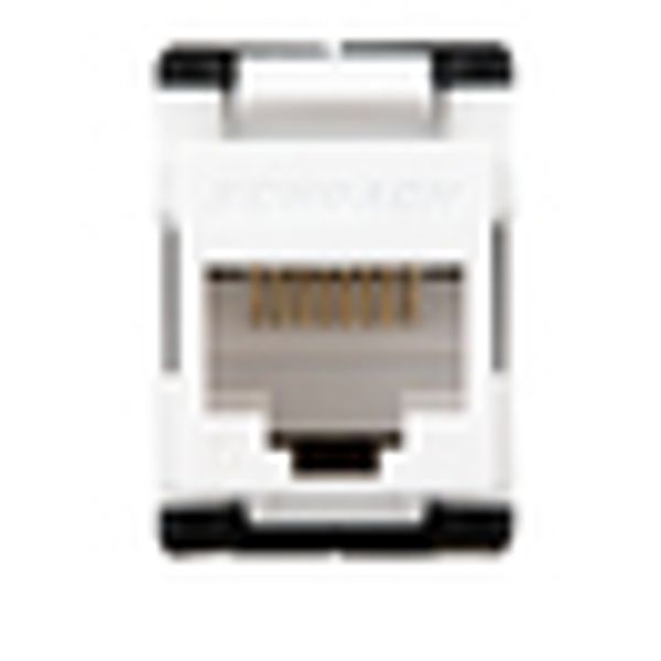TOOLLESS LINE Jack RJ45 unshielded, Cat.6 (SFA) image 4