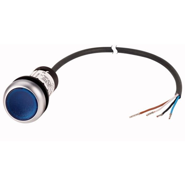 C22-DRL-B-K10-24-P65 Illuminated pushbutton actuator, classic, flat, maintained, 1 N/O, blue, 24 V AC/DC, cable (black) with non-terminated end, 4 pole, 3.5 m image 1