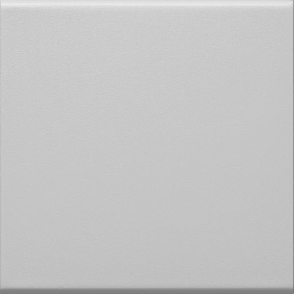 Rocker 1-gang Switch/Button, lg image 3