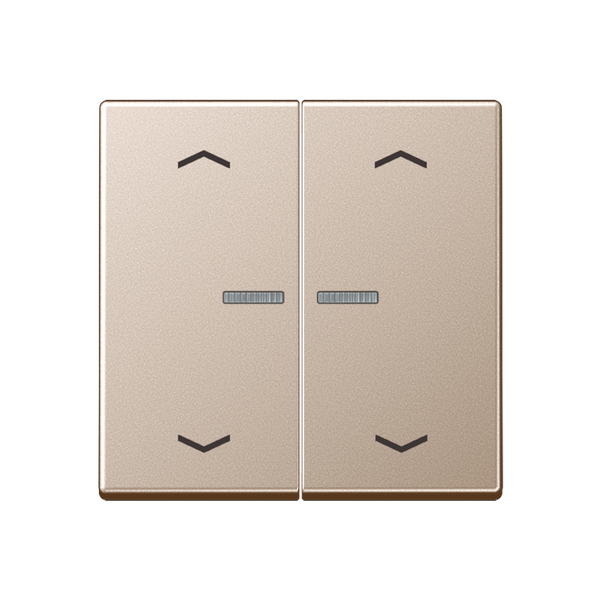 JUNG HOME push-button 2-gang with arrow BTA17102PCH image 1