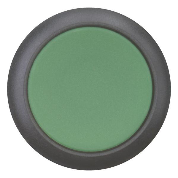 M22S-D-G Pushbutton, RMQ-Titan, Flat, momentary, green, Blank, Bezel: black image 6