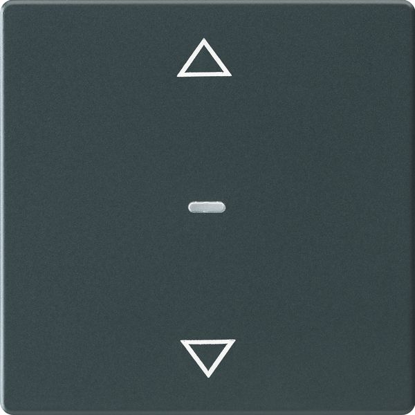 Cover arrow for 1gang for push-button m, clearlens, Q.1/Q.3, ant. velv image 3