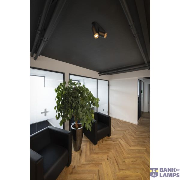 GRIP! L, SPOT CL, double QPAR51 Ceiling Luminaire, cyl, 6W image 1