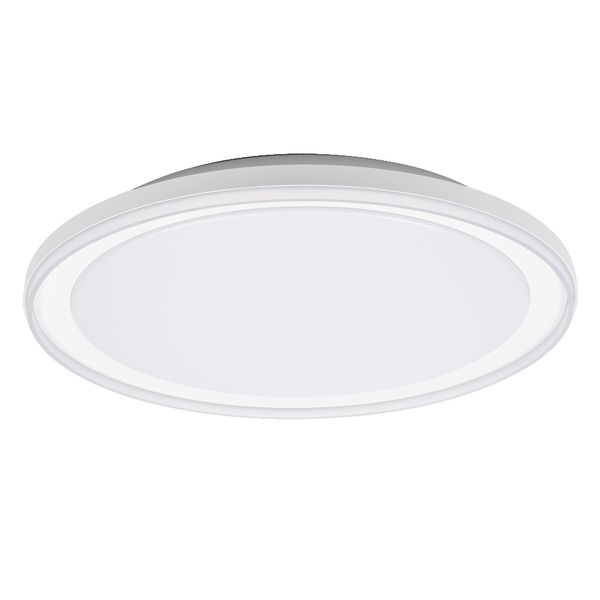 ORBIS PEDERSON 450MM 24W 830 WT OSRAM image 1