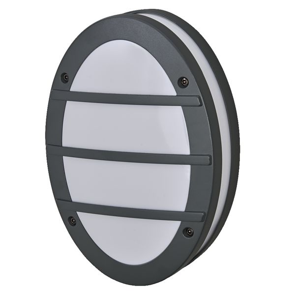 ENDURA CLASSIC ORBICK W E27 IP65DG OSRAM image 1