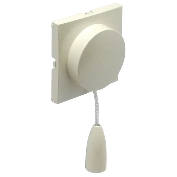 C.PLAT F/PULL-CORD PUSH-BUT/TWO-WAY SWITCH PE image 2