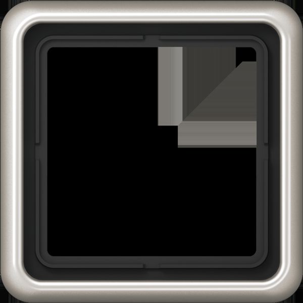 1-gang frame, platinum CD581PT image 2