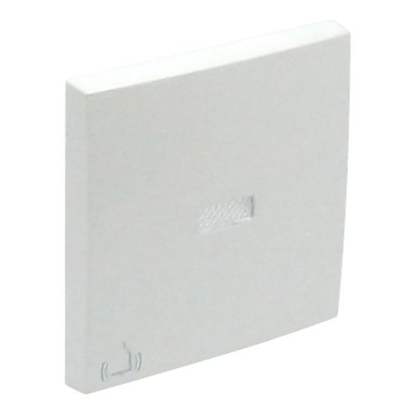 ROCK F/LIGHT SWITCH/PUSH-BUT W/BELL SYMB ICE image 2