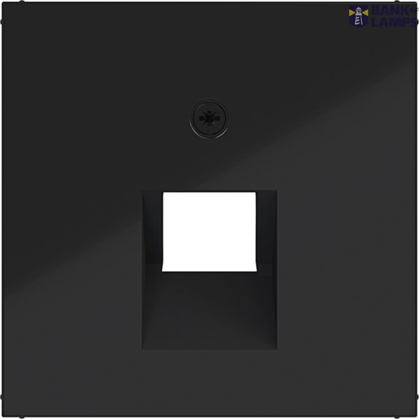 Central plate data socket 1-way, angled output, A.x/C.x, black glass. image 1