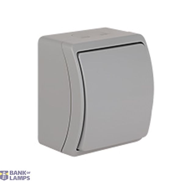 VW-7 Koala Universal/Two-Way Switch / without printed pictogram / surface mounted IP44 gray VW 157-03 image 1