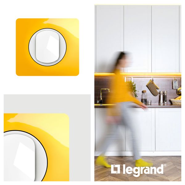 PLATE 4 GANG SAFFRON YELLOW image 5